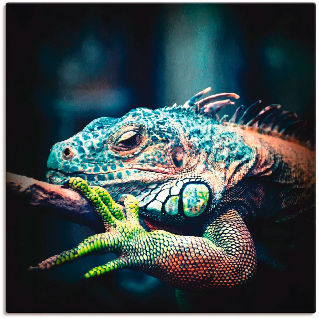 Artland Wandbild »Leguan«, Reptilien, (1 St.), als Leinwandbild, Poster in günstig online kaufen