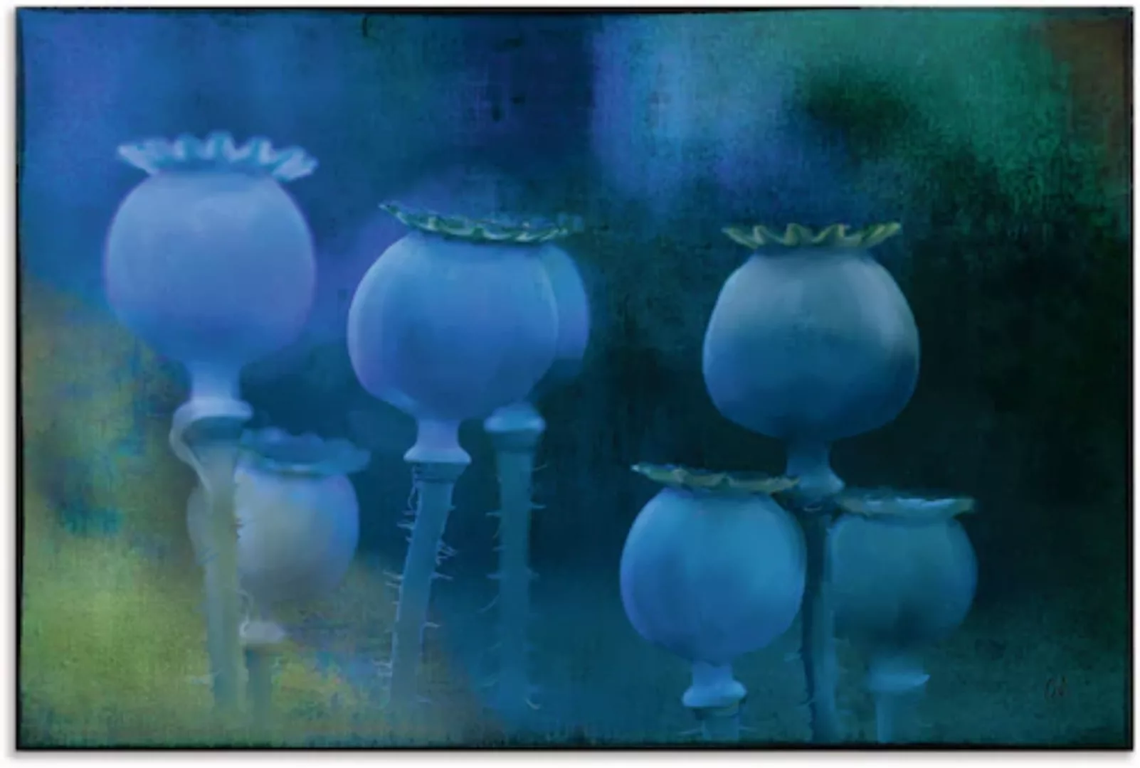 Artland Wandbild "Blaumohn", Zen Bilder, (1 St.), als Alubild, Outdoorbild günstig online kaufen
