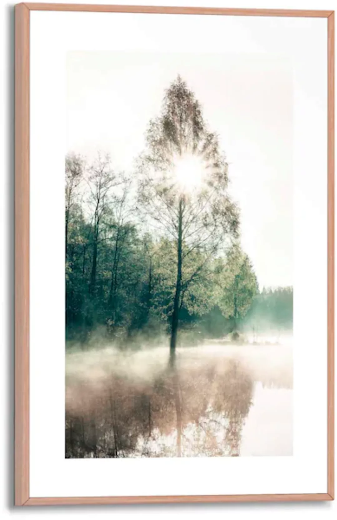 Reinders! Poster »Sonne durch die Bäume« günstig online kaufen