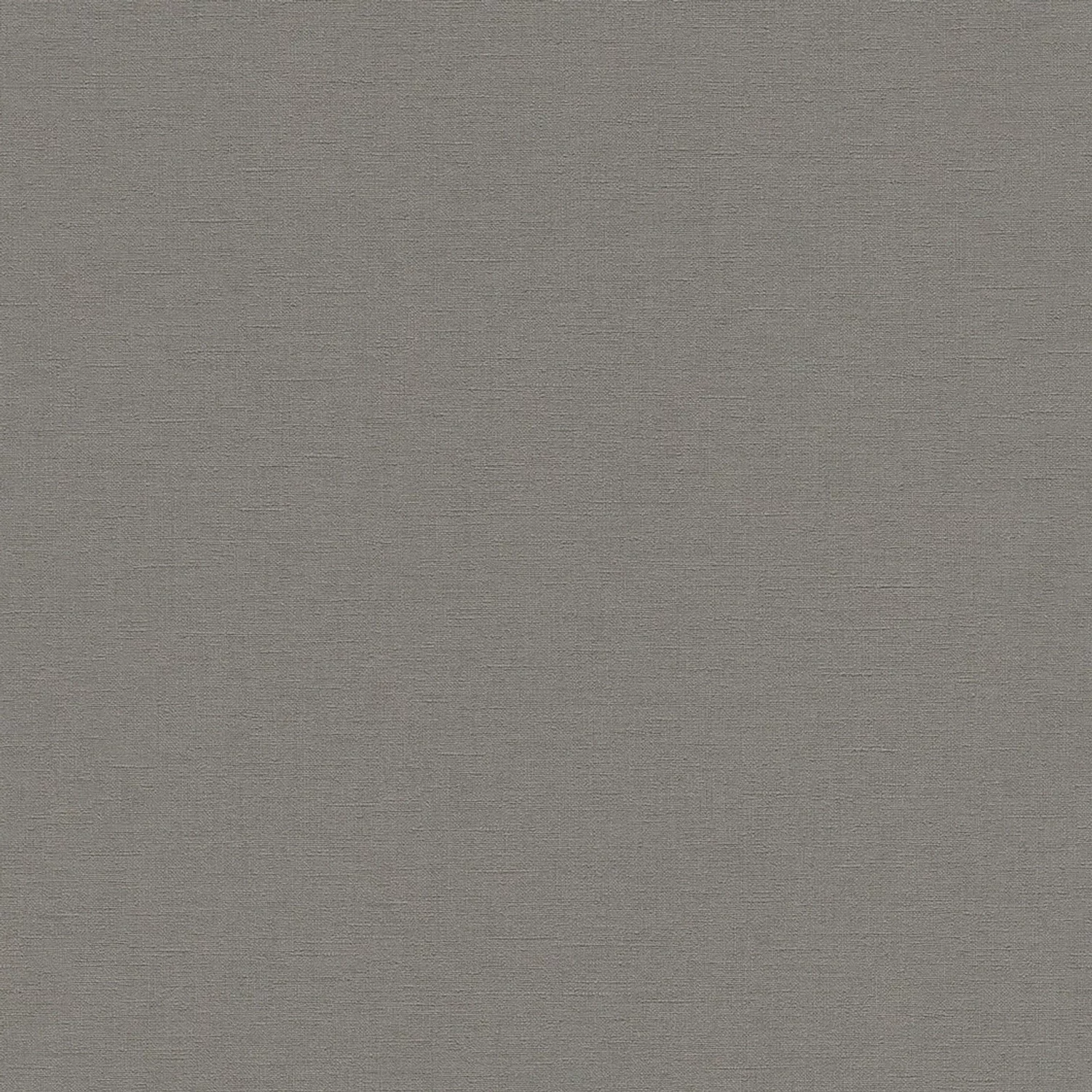 Rasch Vliestapete Salsa 448627 Uni Dunkelgrau 10,05x0,53 m günstig online kaufen