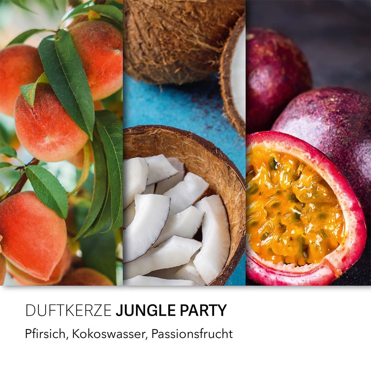 HARIBO Duftkerze Haribo Jungle Party - günstig online kaufen