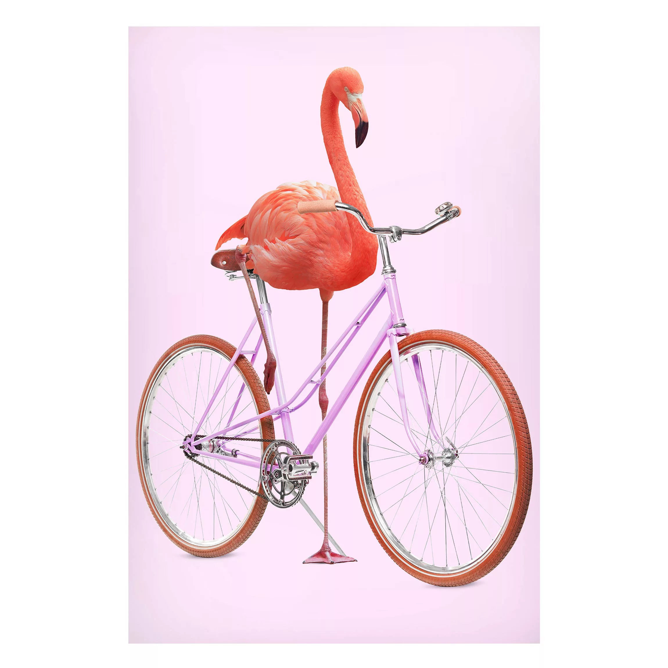 Magnettafel Tiere - Hochformat 2:3 Flamingo mit Fahrrad günstig online kaufen