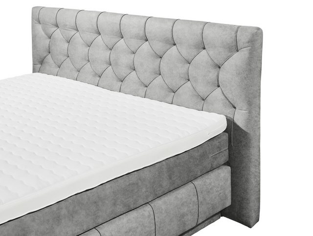 freiraum Boxspringbett FLORENZ, Bettkästen, 6cm Topper, 7 Zonen, grau geste günstig online kaufen