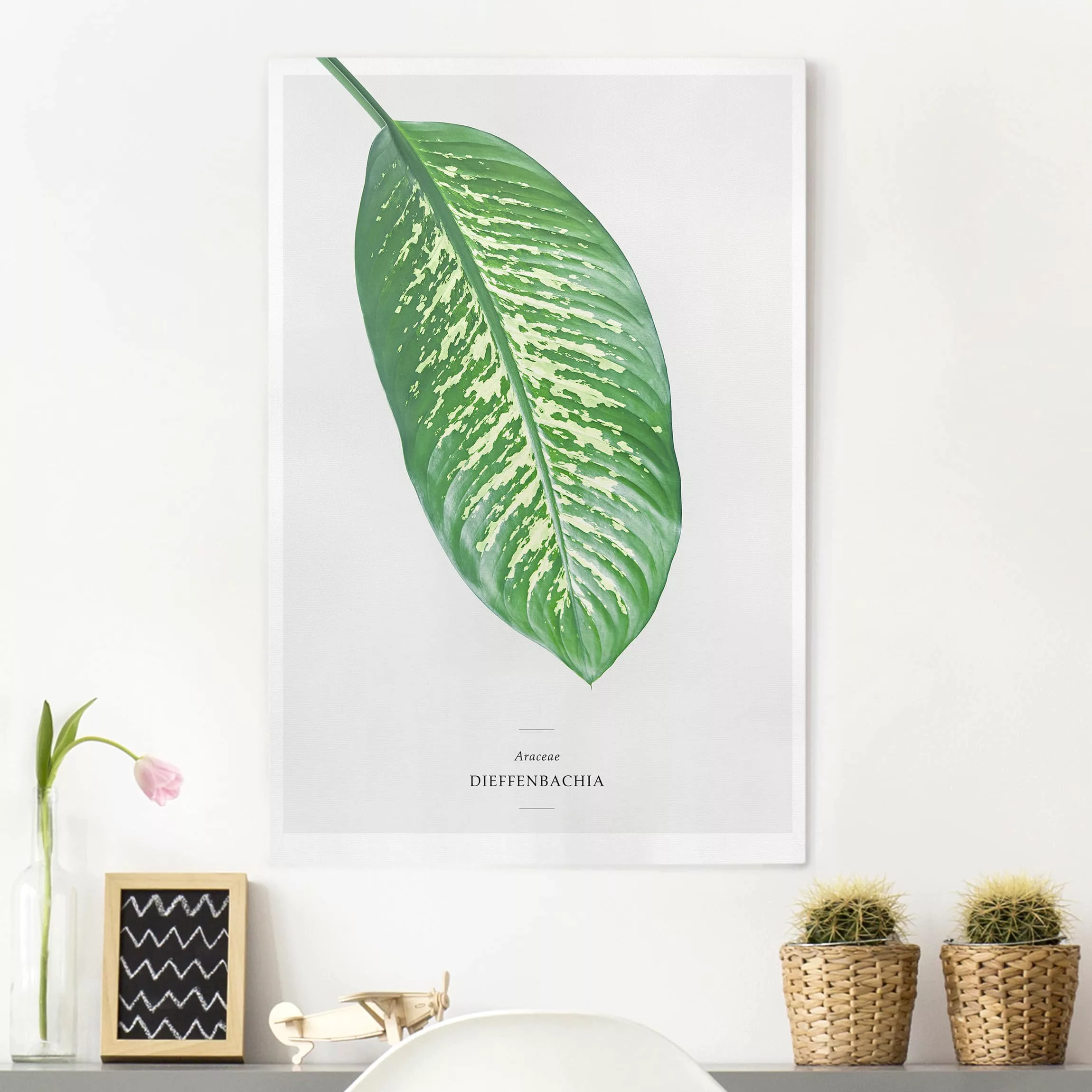 Leinwandbild Botanik - Hochformat Tropisches Blatt Dieffenbachie günstig online kaufen