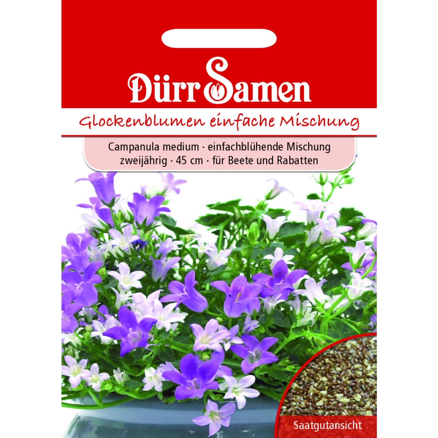 Dürr Samen Glockenblume Einfache Mischung Zweijährig Saatgut günstig online kaufen
