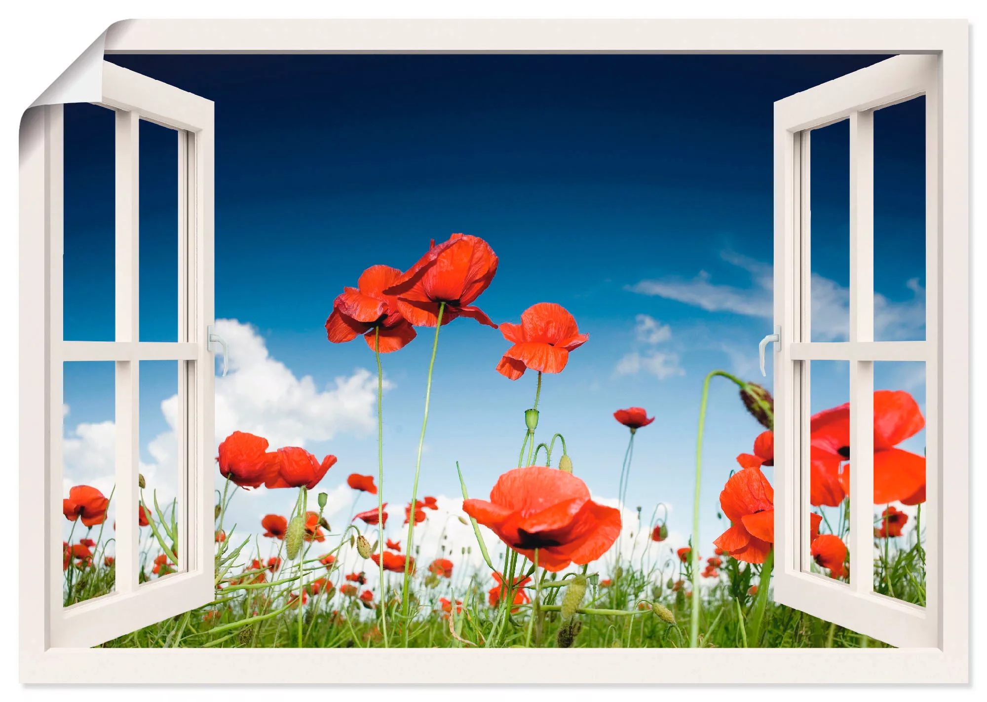 Artland Poster "Fensterblick Feld mit Mohnblumen, braun", Fensterblick, (1 günstig online kaufen