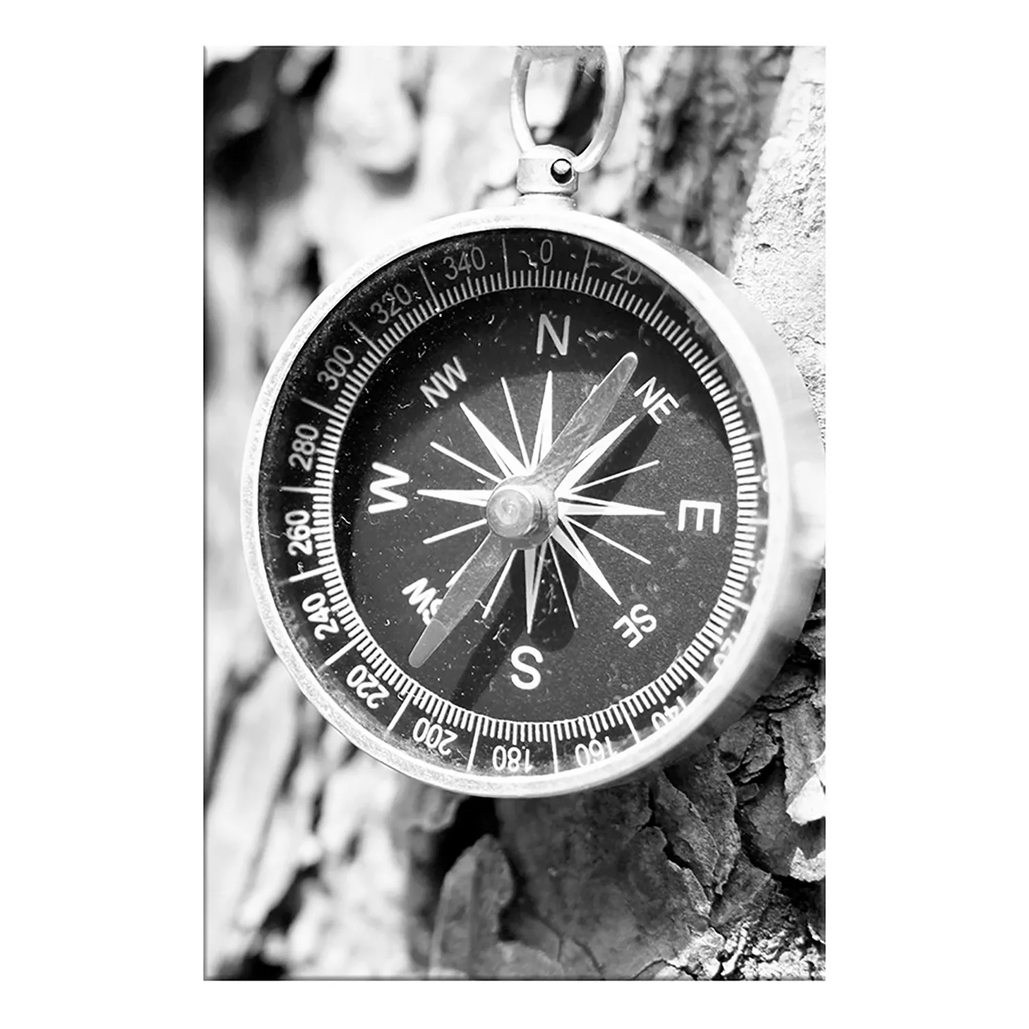 home24 Wandbild Black and White Compass günstig online kaufen