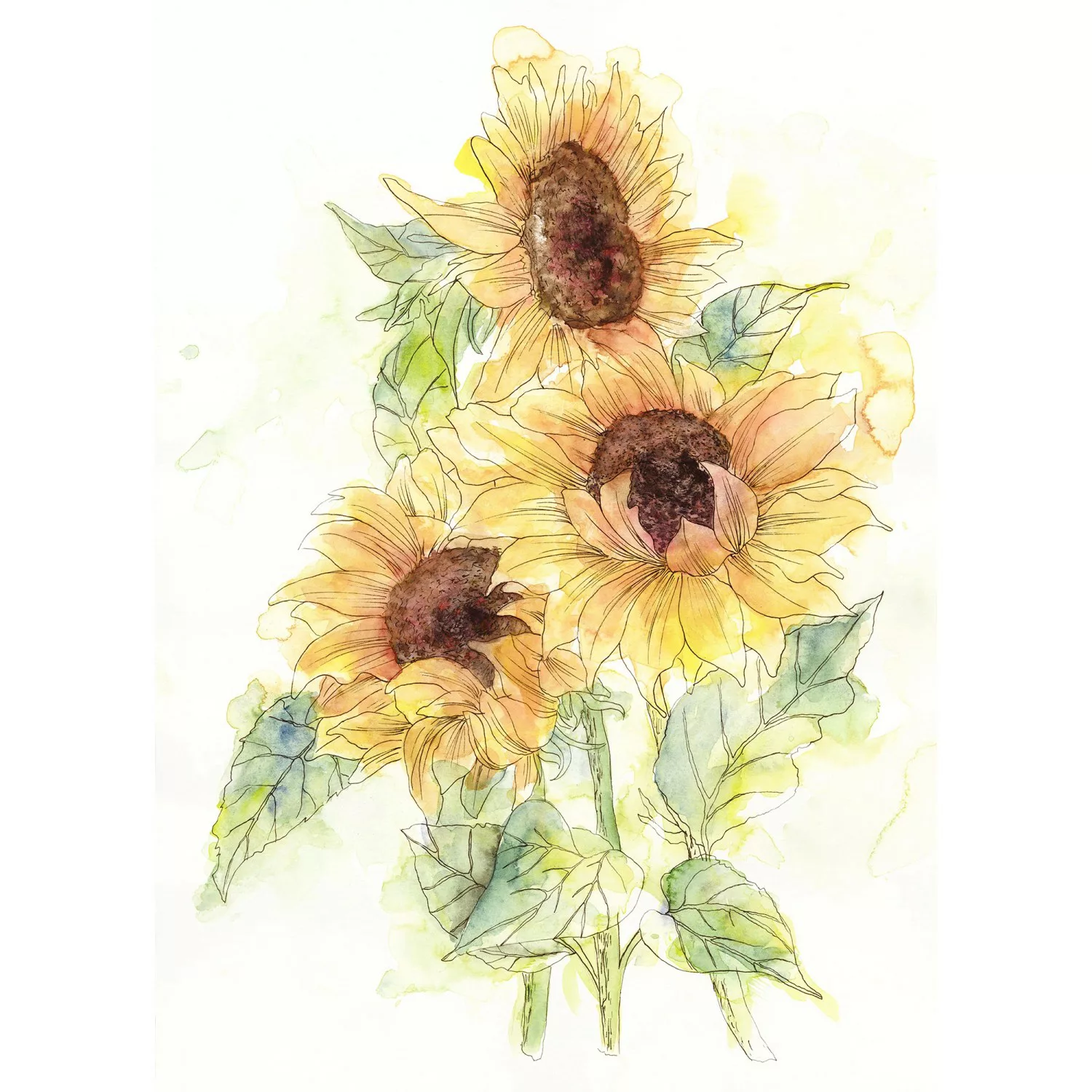 Komar Fototapete Girasol Blumen B/L: ca. 200x250 cm günstig online kaufen