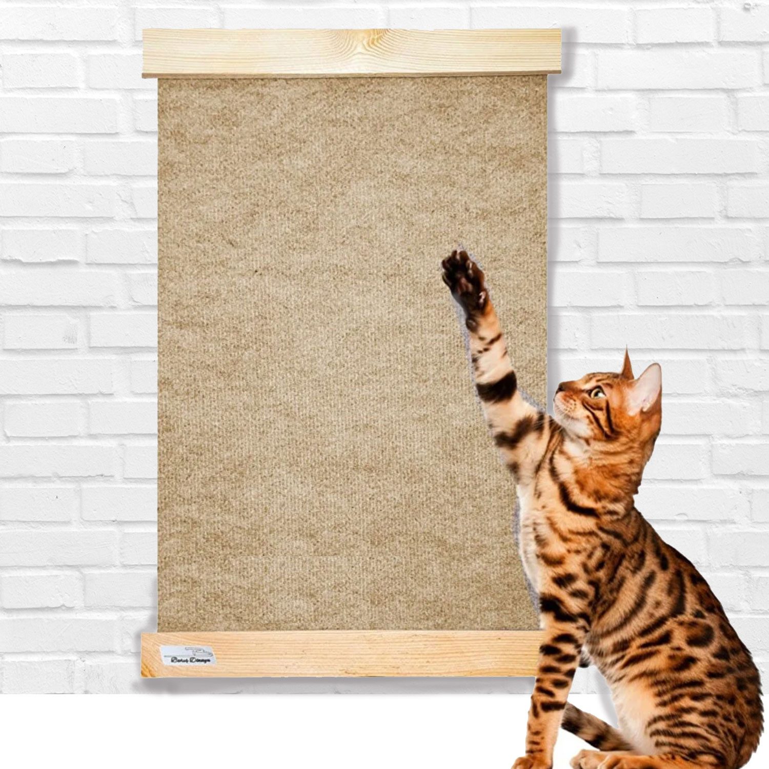 Jungengel Kratzmatte Katzen 55x40cm Wandmatte Katzenmatte günstig online kaufen