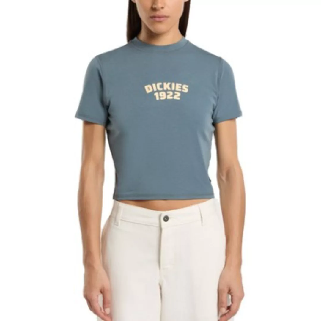 Dickies  T-Shirts & Poloshirts DK0A4Z8FG701 CENTER LOGO günstig online kaufen
