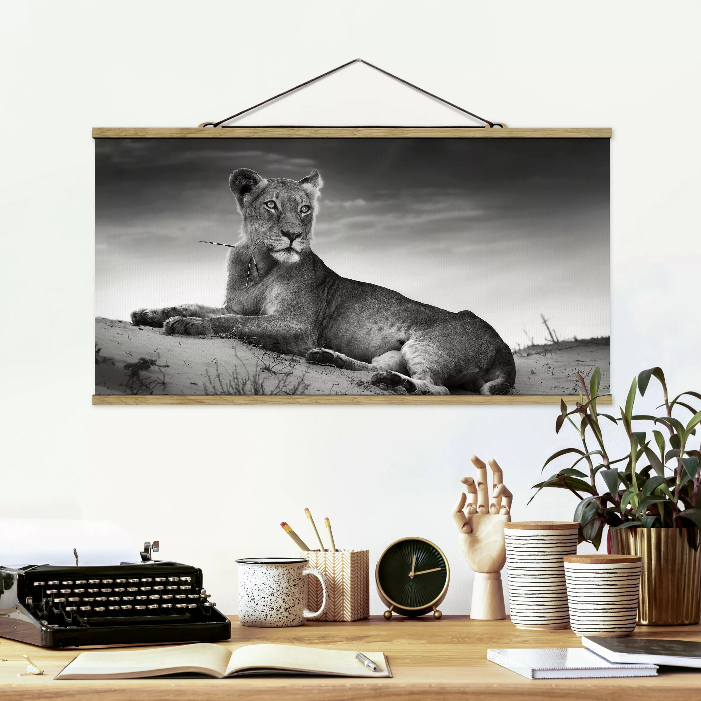 Stoffbild Tiere mit Posterleisten - Querformat Resting Lion günstig online kaufen