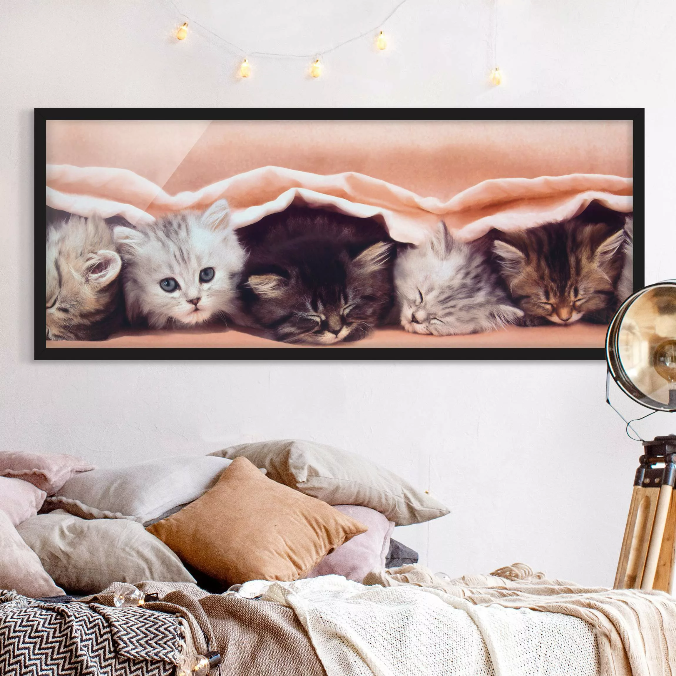 Bild mit Rahmen Tiere - Panorama Sweet Like Sugar günstig online kaufen