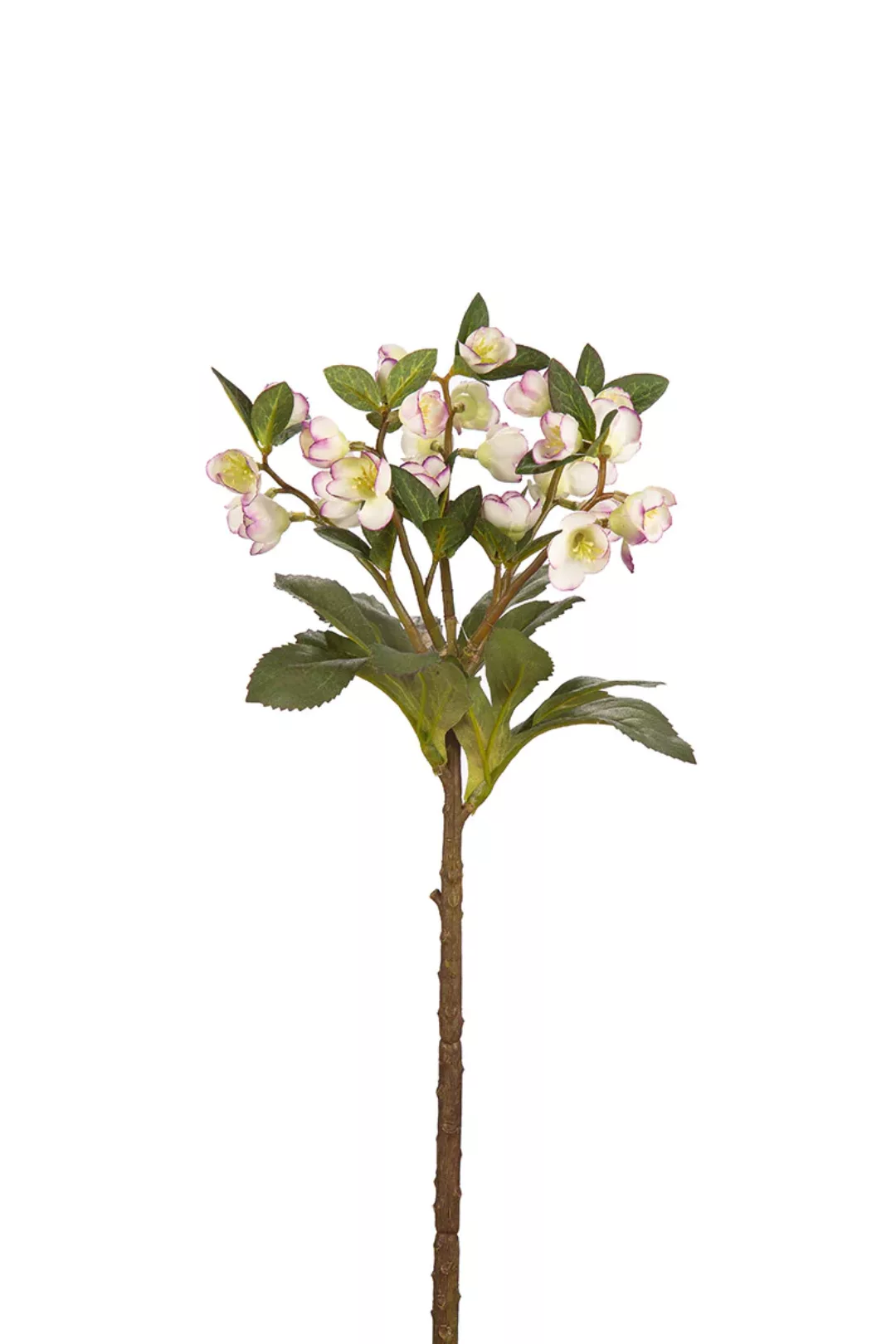 Kunstblume Helleborus creme-lila 42cm günstig online kaufen