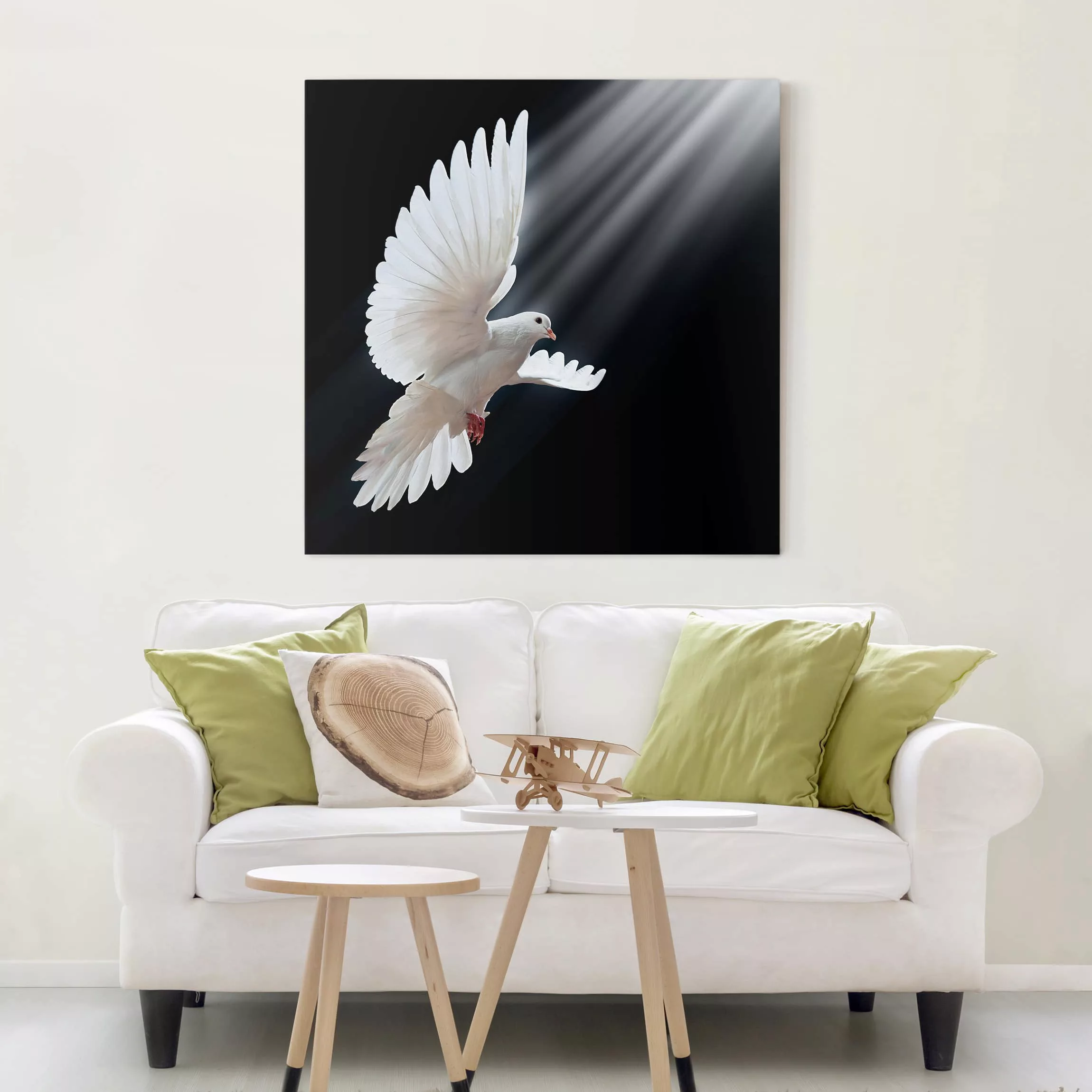 Leinwandbild Tiere - Quadrat Holy Dove günstig online kaufen