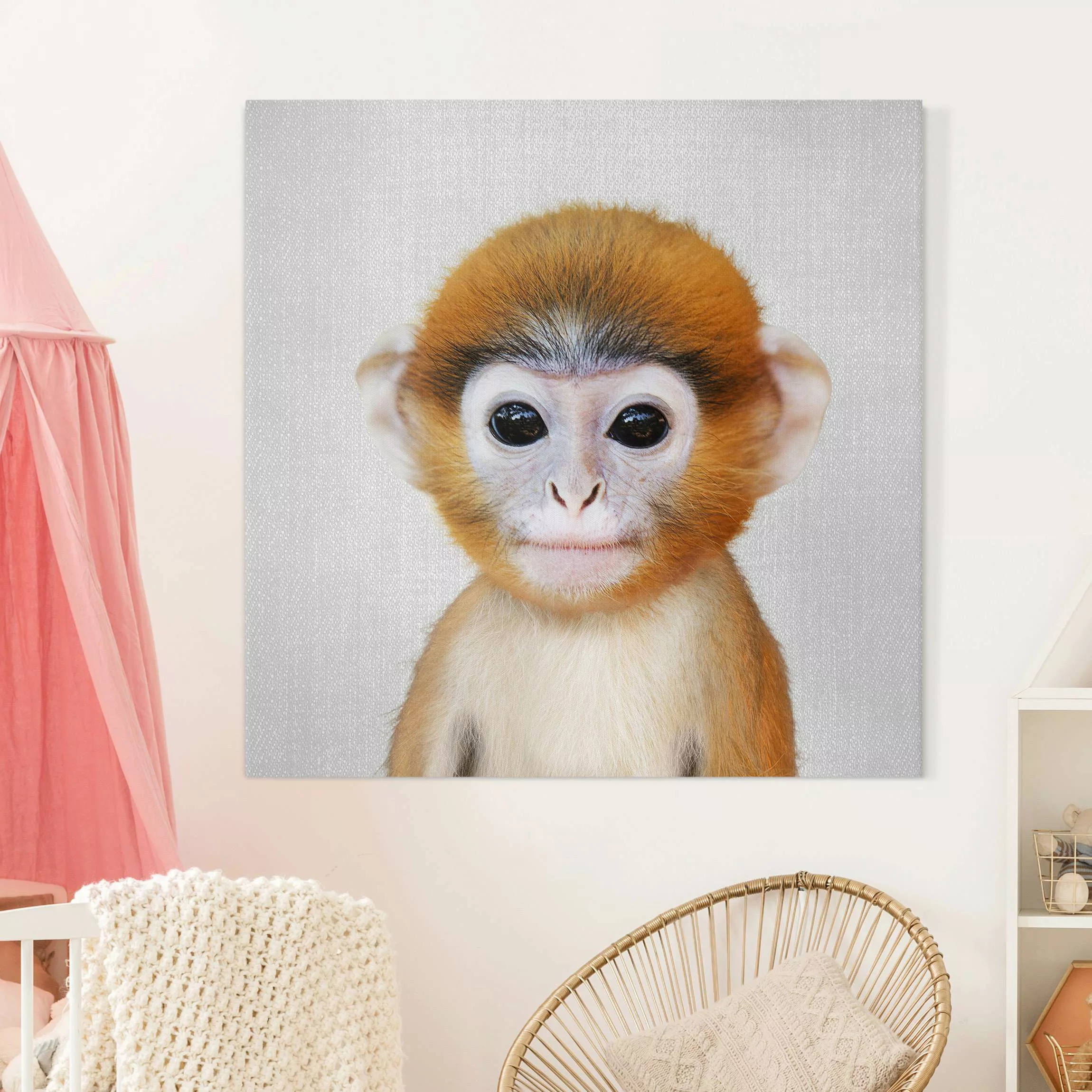 Leinwandbild Baby Affe Anton günstig online kaufen