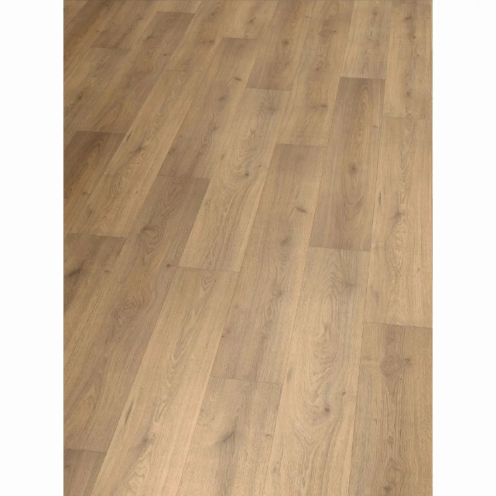 Hori Laminat HORI Laminat Holz, Boden günstig online kaufen