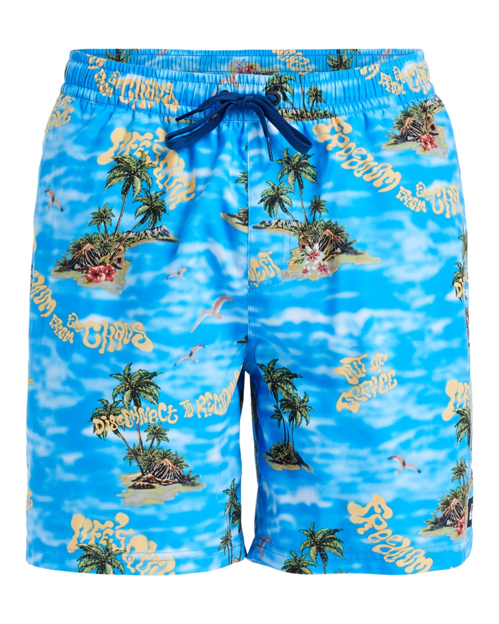 Quiksilver Boardshorts "Everyday Straight Volley 17"" günstig online kaufen