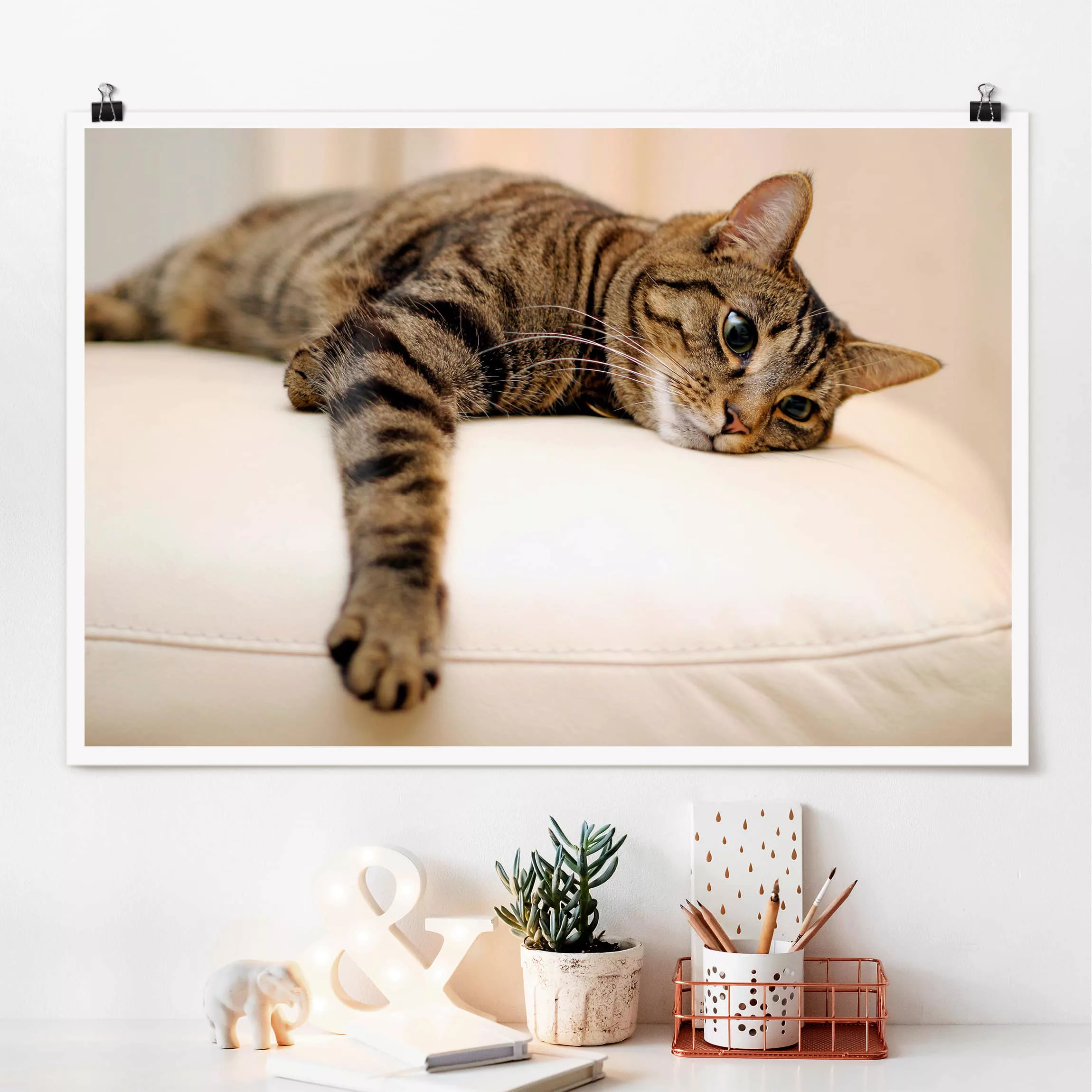 Poster Tiere - Querformat Cat Chill Out günstig online kaufen