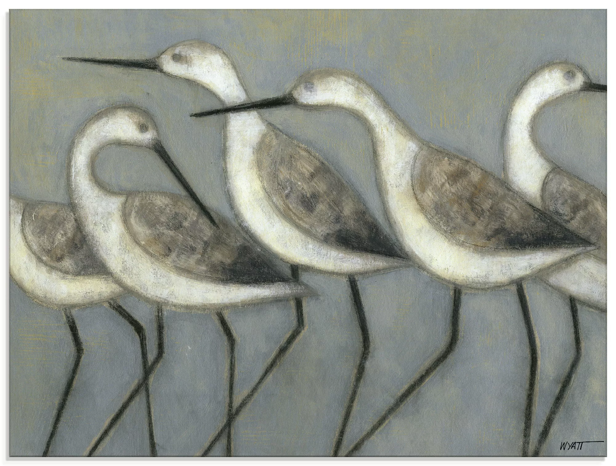 Artland Glasbild "Küstenvögel I", Vögel, (1 St.) günstig online kaufen