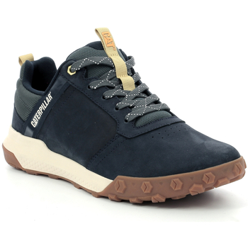 Caterpillar  Sneaker Hex Ready Low günstig online kaufen