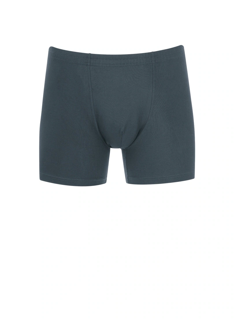 Trigema Boxer "TRIGEMA Herren Pant in bequemer Stretch-Qualität", (1 St.) günstig online kaufen