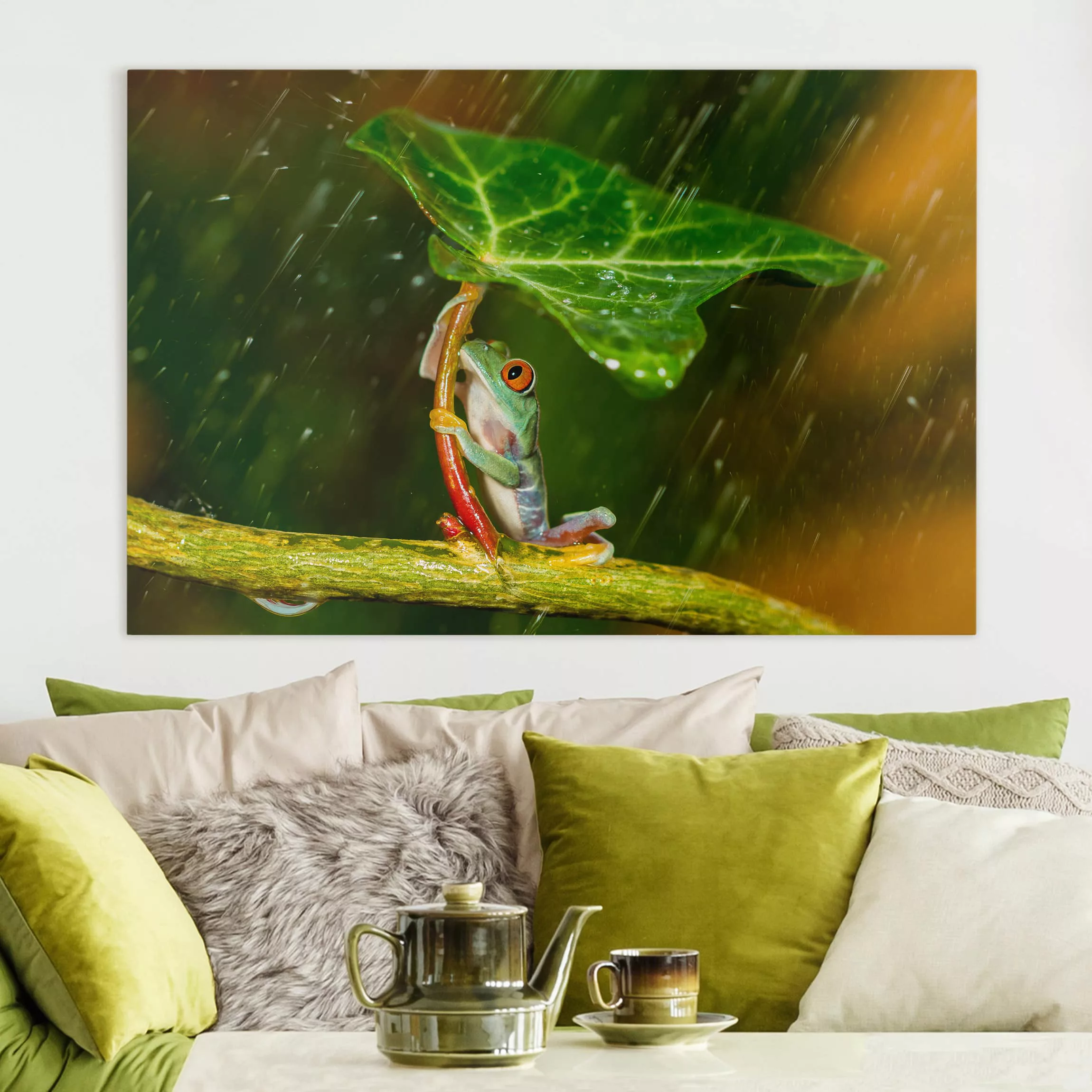 Leinwandbild Tiere - Querformat Ein Frosch im Regen günstig online kaufen