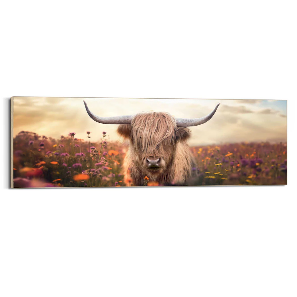 Reinders! Wandbild »Spring Highlander« günstig online kaufen