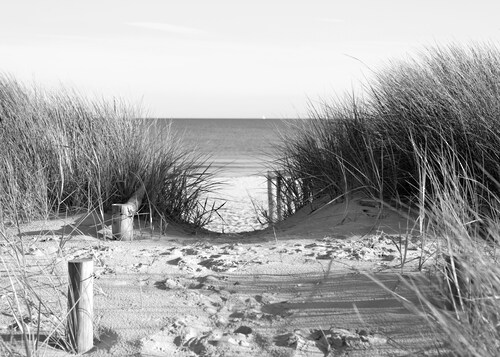 Papermoon Fototapete »Strand Schwarz & Weiß« günstig online kaufen