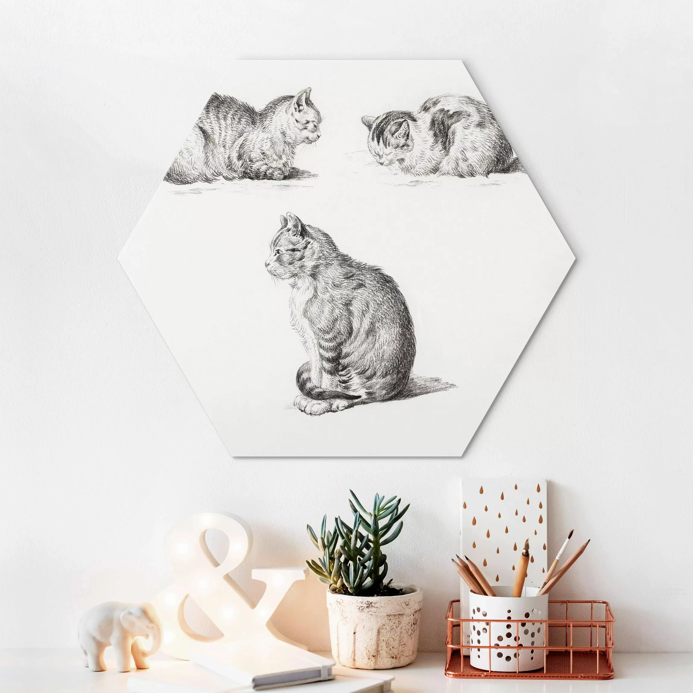 Hexagon-Alu-Dibond Bild Vintage Zeichnung Katze I günstig online kaufen