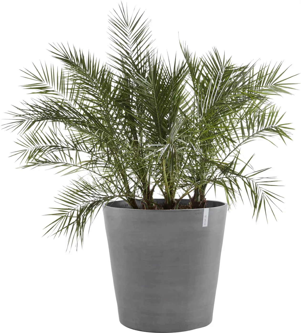 ECOPOTS Blumentopf "AMSTERDAM WHEELS Grey", BxTxH: 60x60x56 cm günstig online kaufen