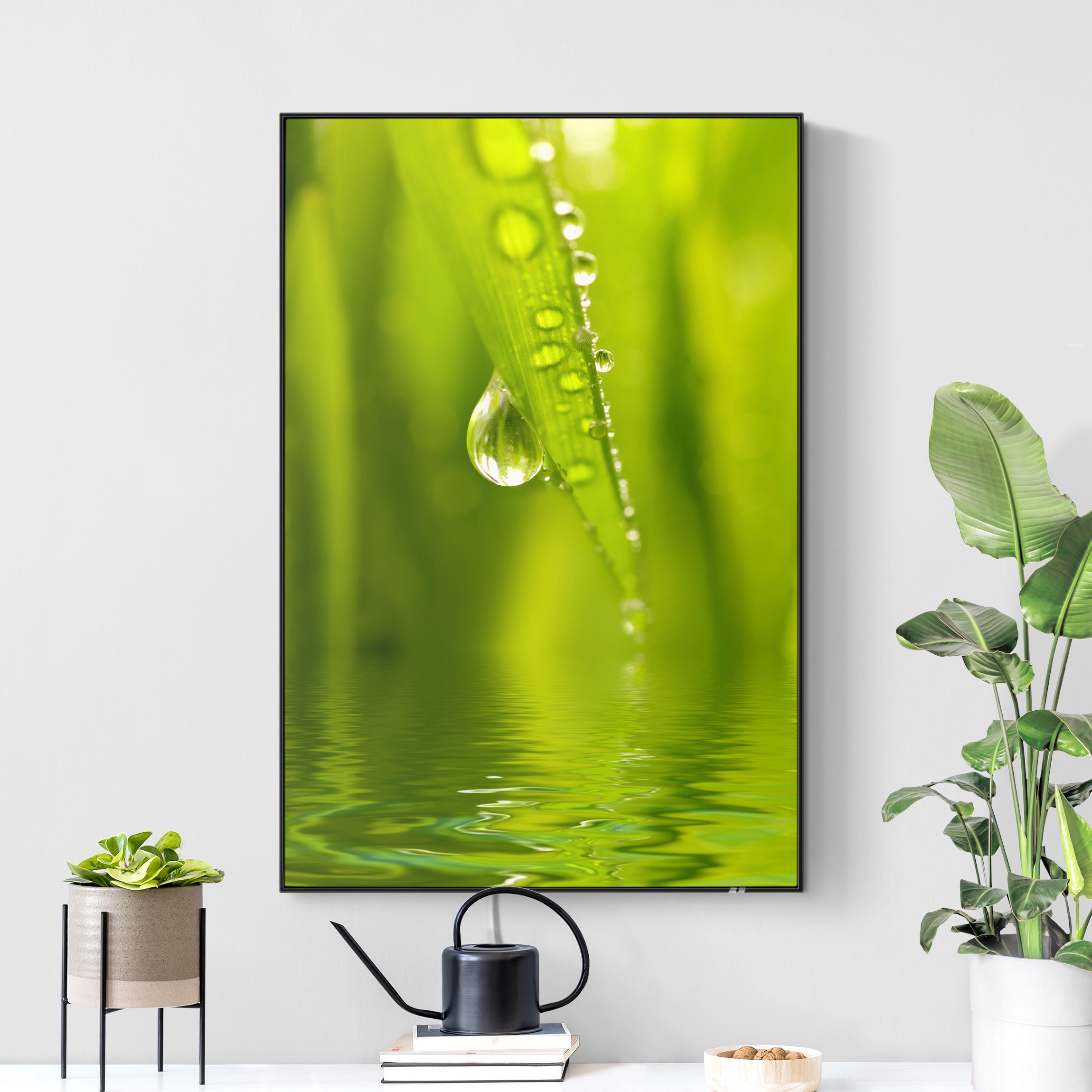 LED-Wechselbild Morning Dew günstig online kaufen