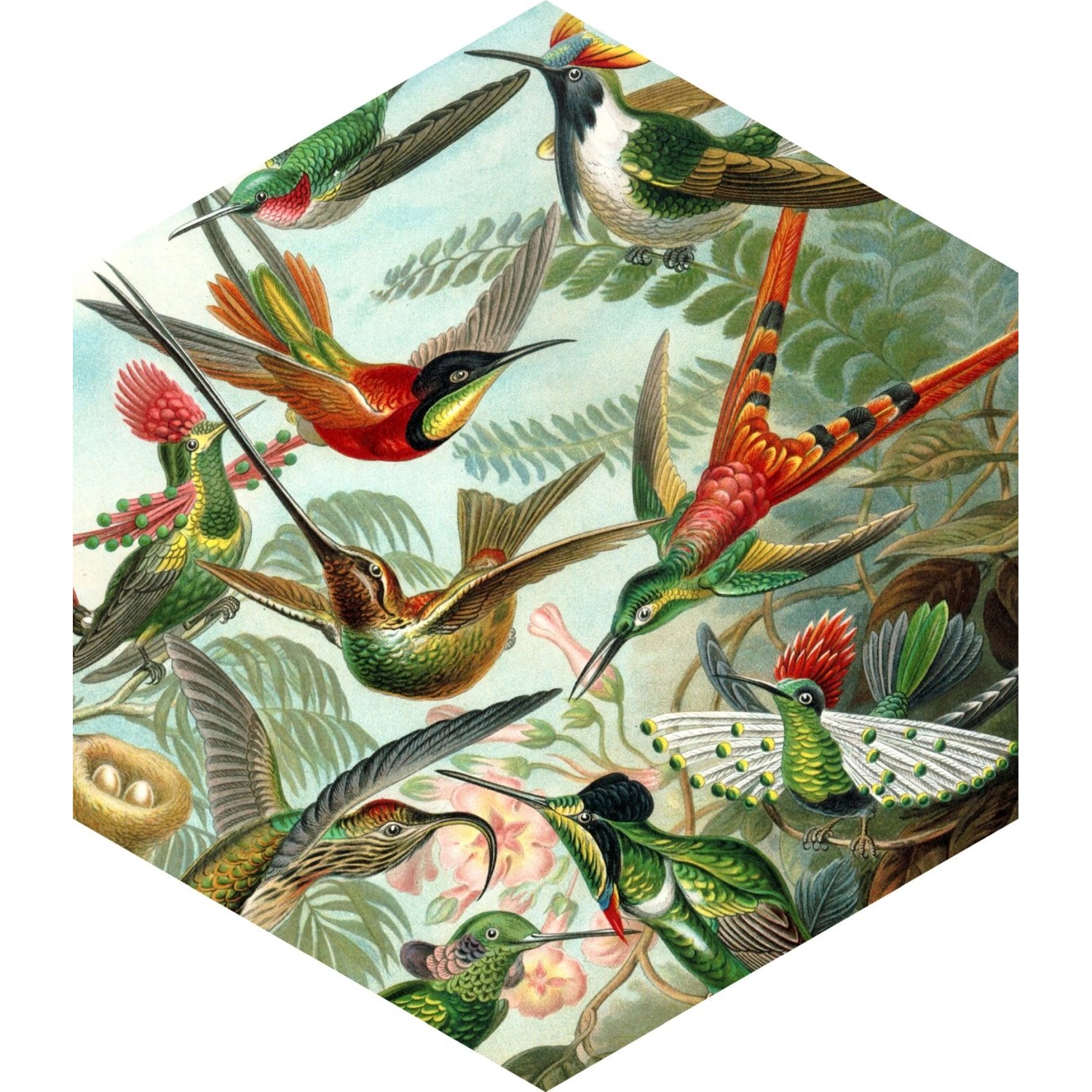 ESTAhome Wandtattoo Vögel Dschungelgrün 70 x 81 cm 158999 günstig online kaufen