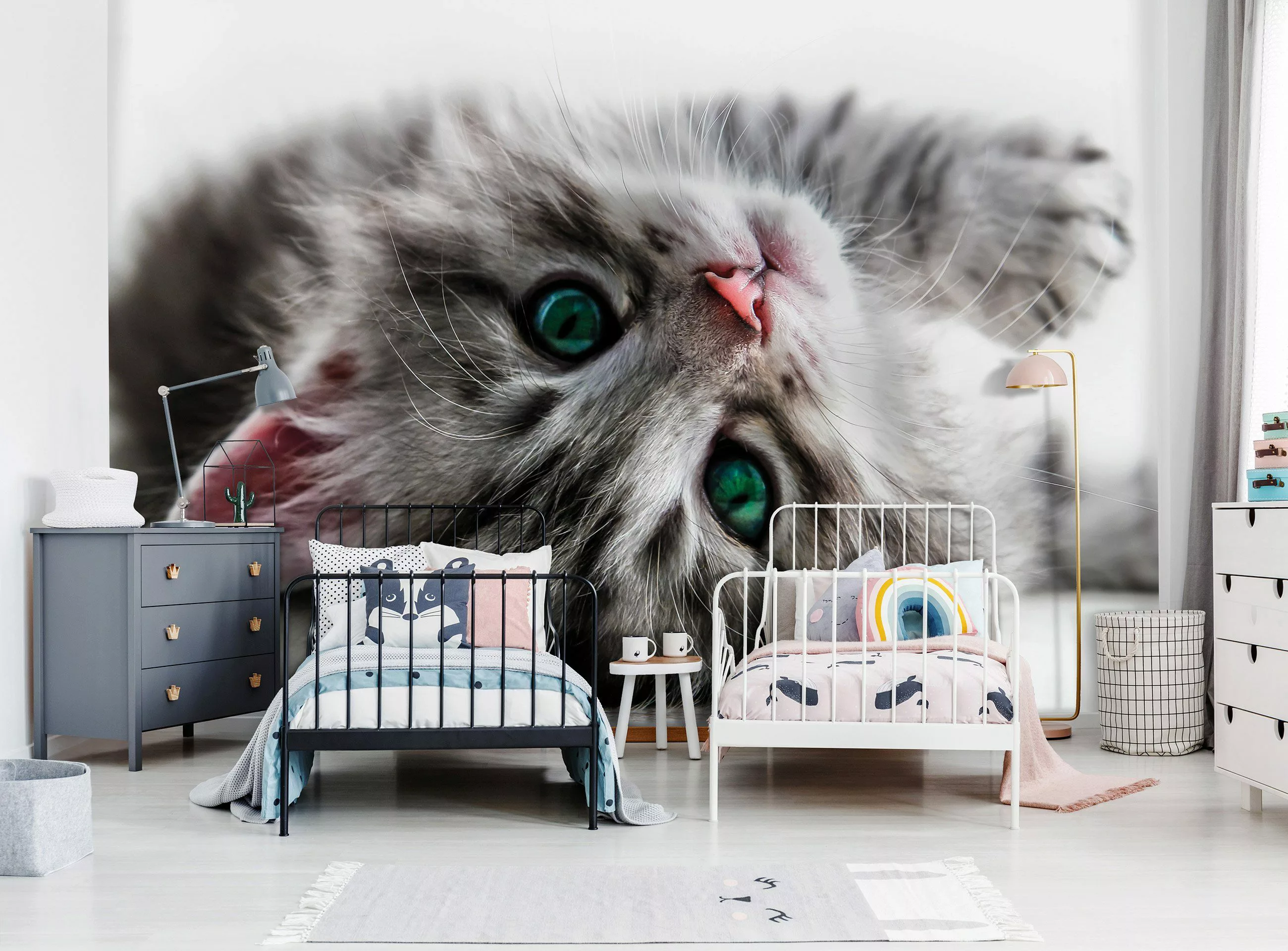 Wallarena Fototapete Kinderzimmer Mädchen Jungen Katze günstig online kaufen
