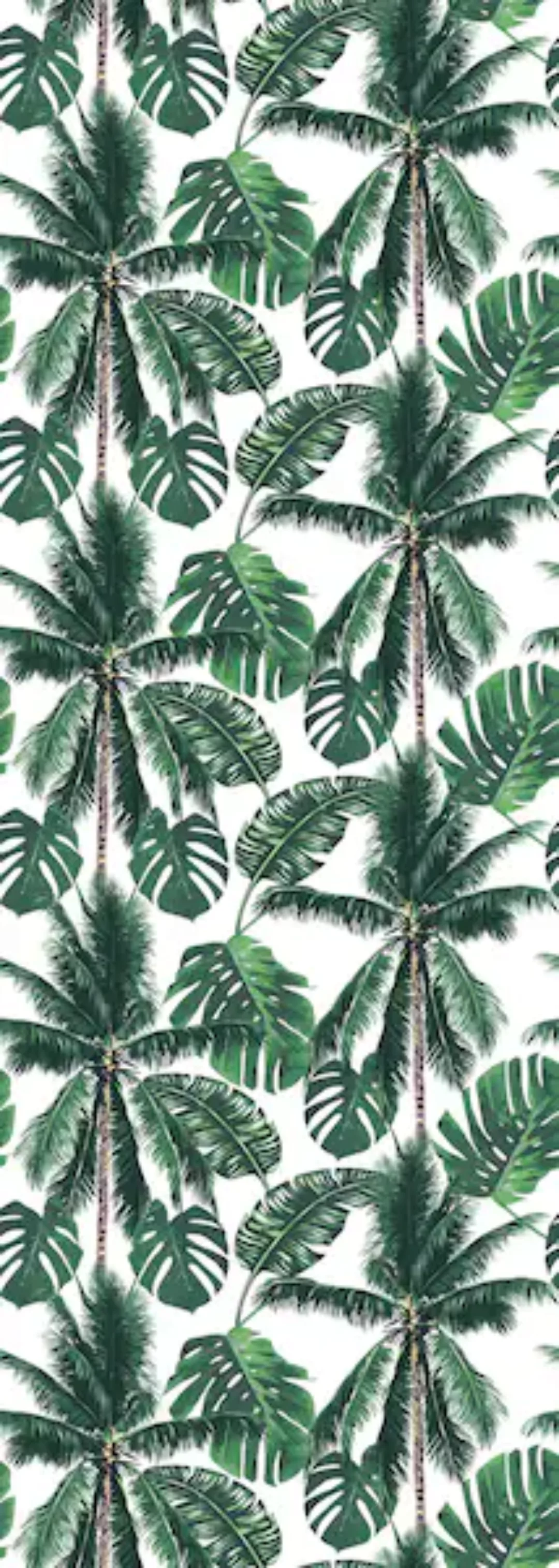 queence Vinyltapete »Palm Tree«, 90 x 250 cm, selbstklebend günstig online kaufen