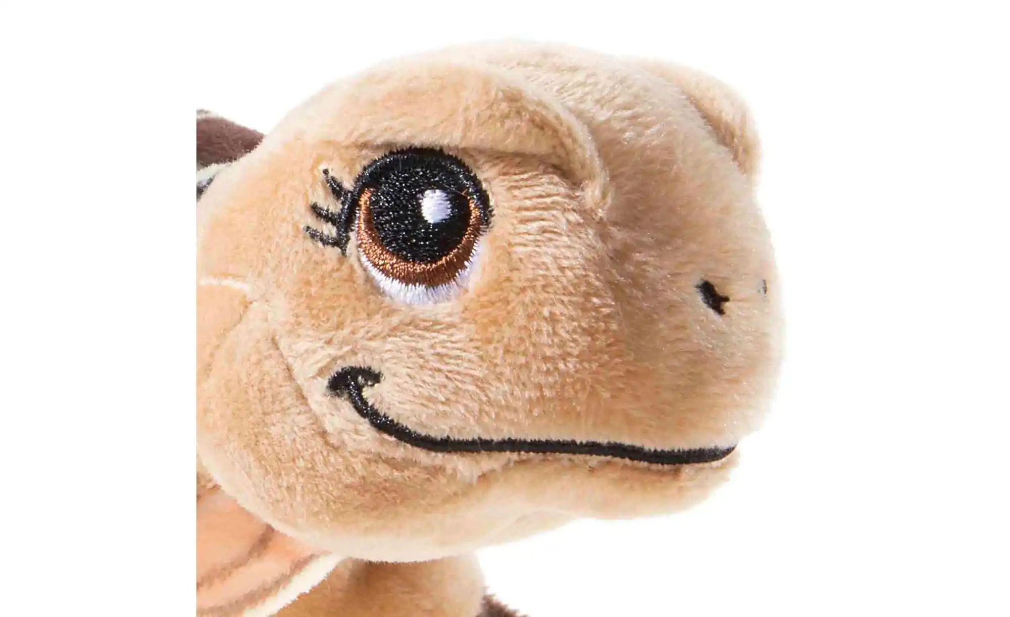 Heunec Kuscheltier Schildkröte   ¦ braun ¦ Maße (cm): B: 16 H: 11 Baby > Sp günstig online kaufen