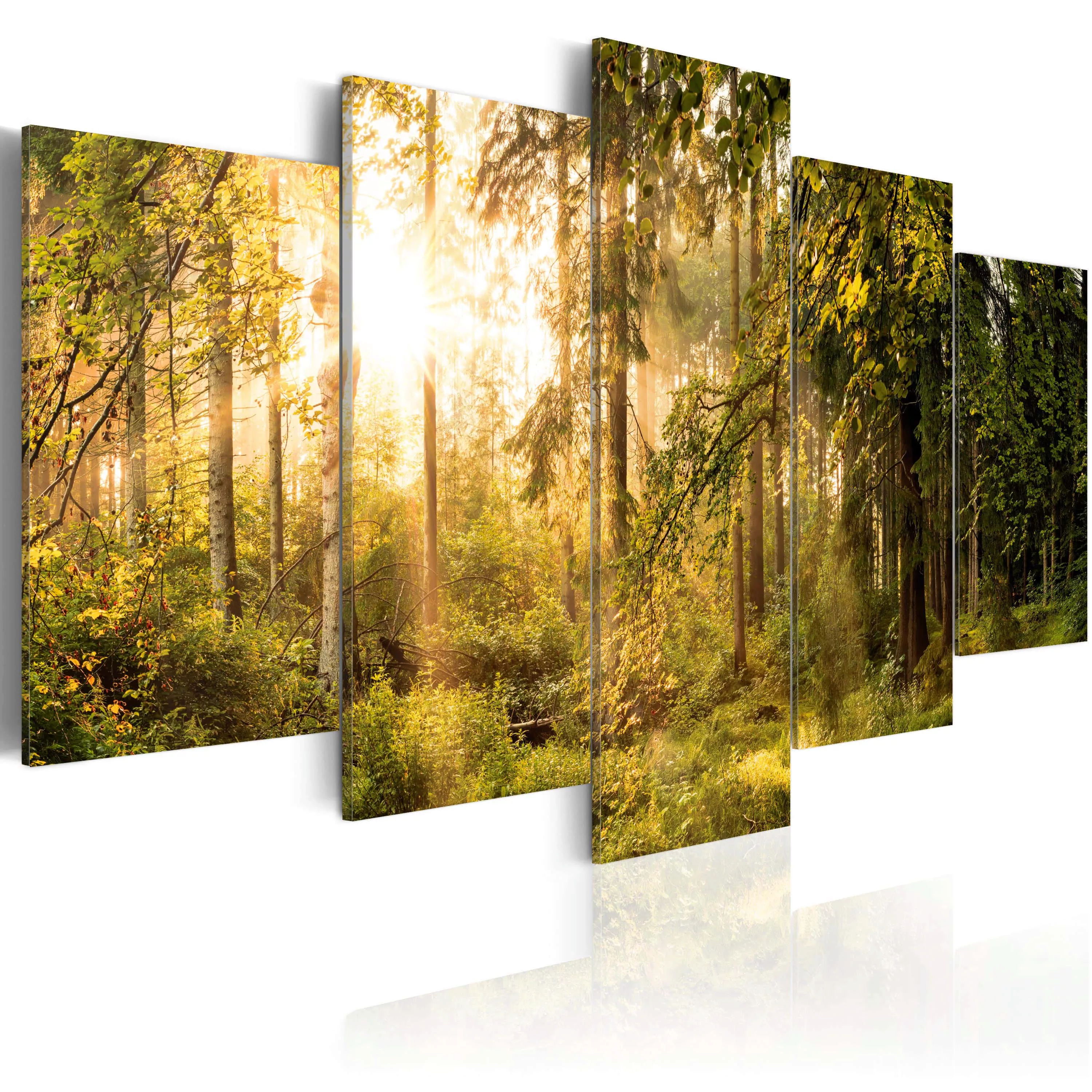 Wandbild - Magic of Forest günstig online kaufen