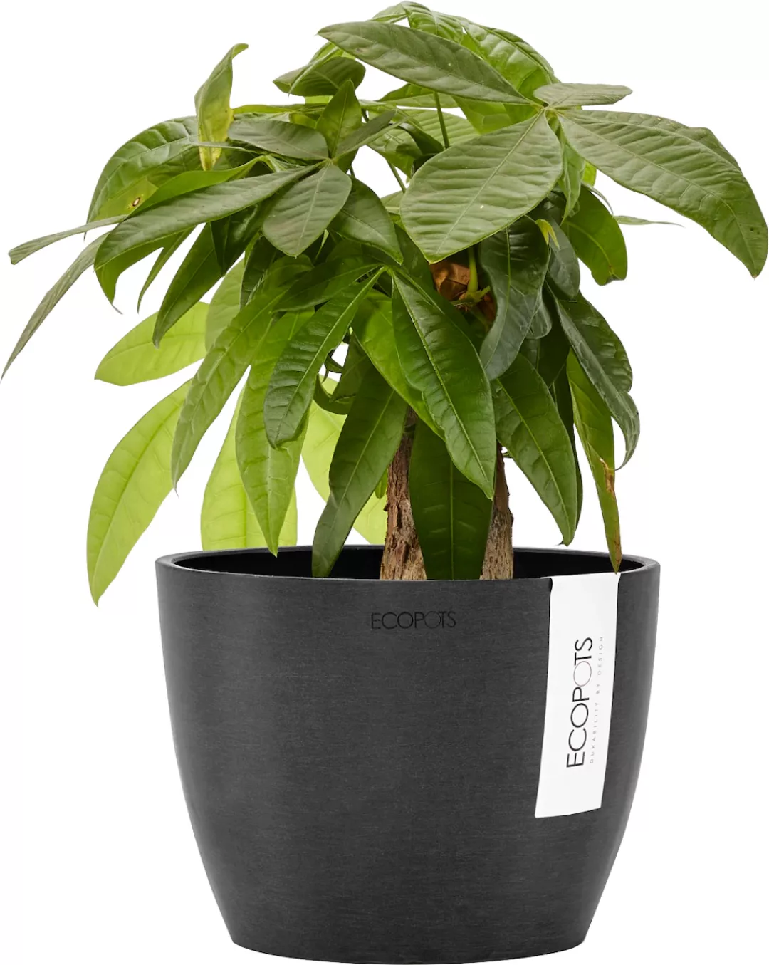 Ecopots Blumentopf Stockholm Dunkelgrau 16 cm günstig online kaufen