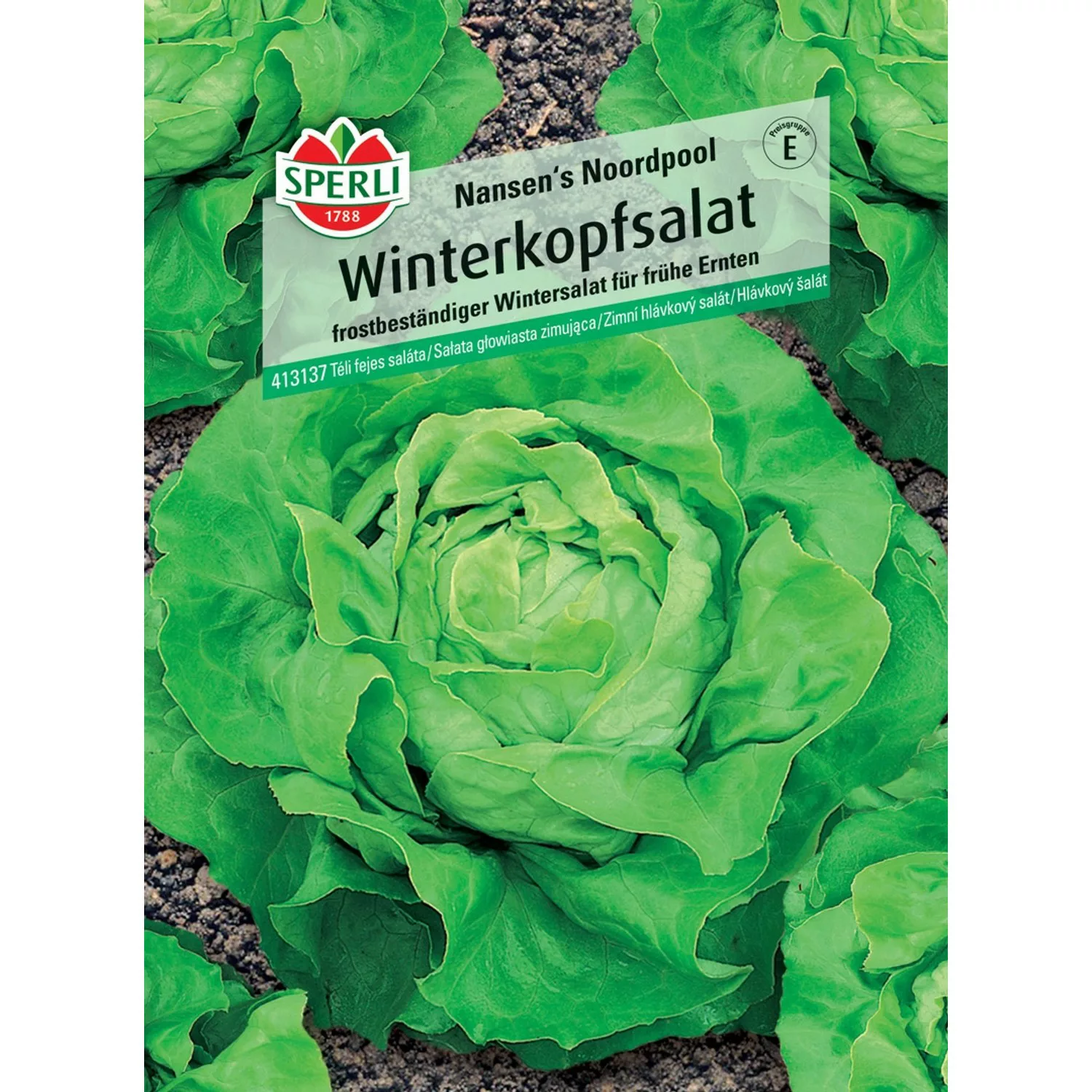 Sperli Winterkopfsalat Nansen's Noordpool günstig online kaufen