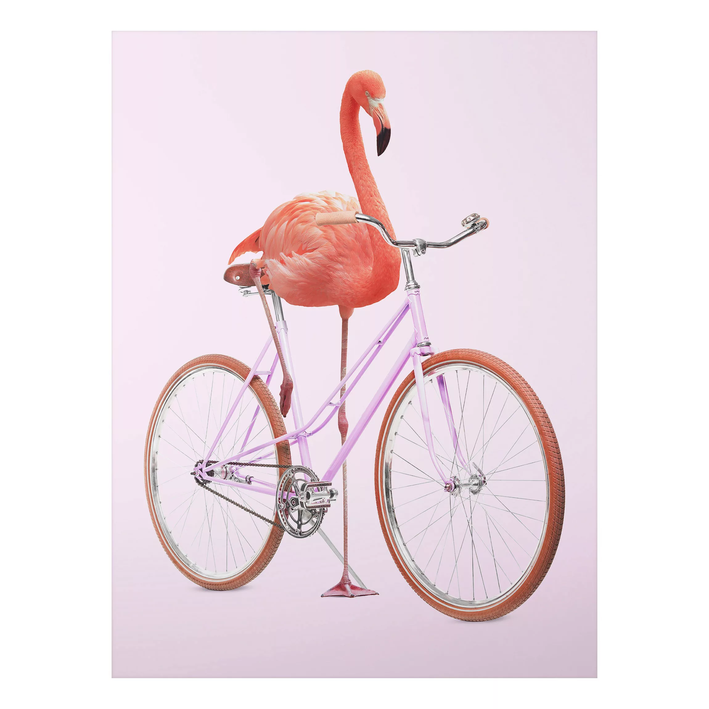 Alu-Dibond Bild Kunstdruck - Hochformat 3:4 Flamingo mit Fahrrad günstig online kaufen