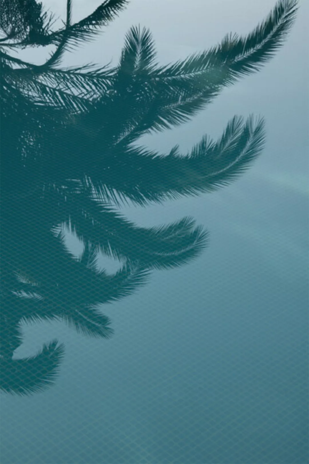 Poster / Leinwandbild - Palms In The Pool günstig online kaufen