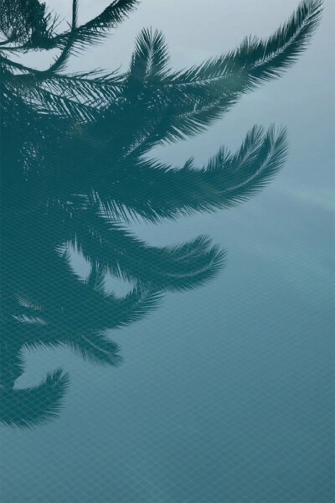 Poster / Leinwandbild - Palms In The Pool günstig online kaufen