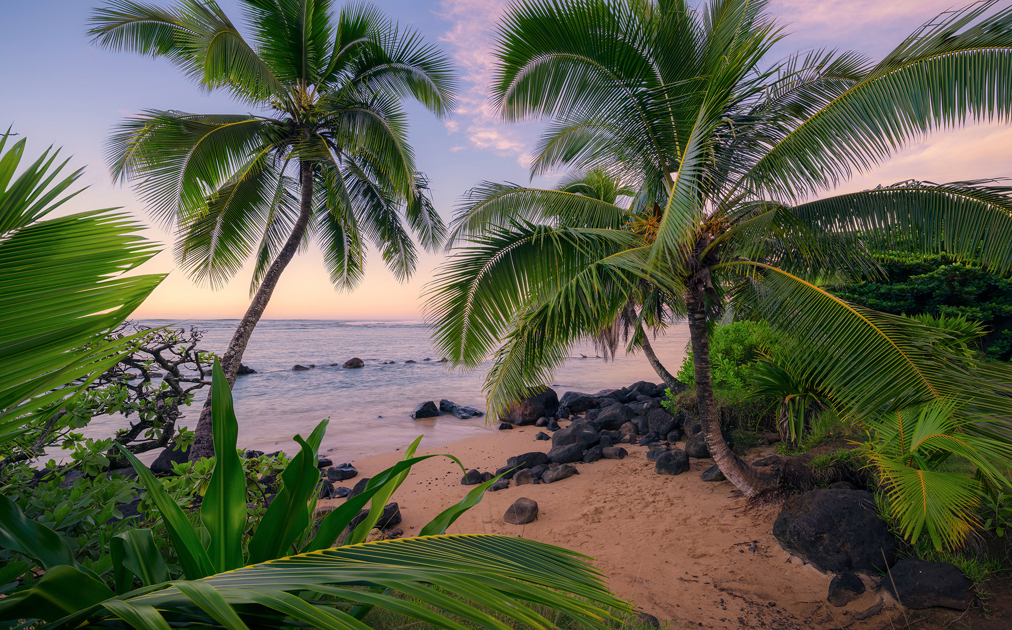 Komar Fototapete Hawaiian Dreams B/L: ca. 450x280 cm günstig online kaufen