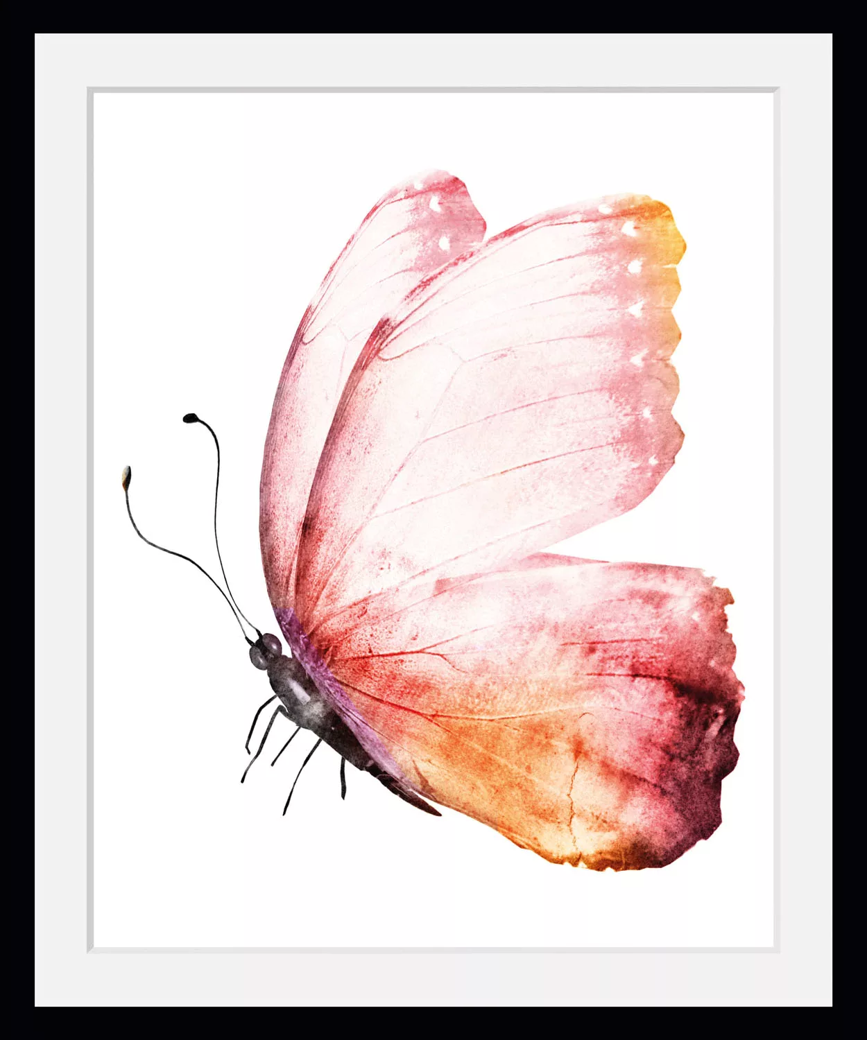 queence Bild »Cooper«, Schmetterlinge, (1 St.) günstig online kaufen