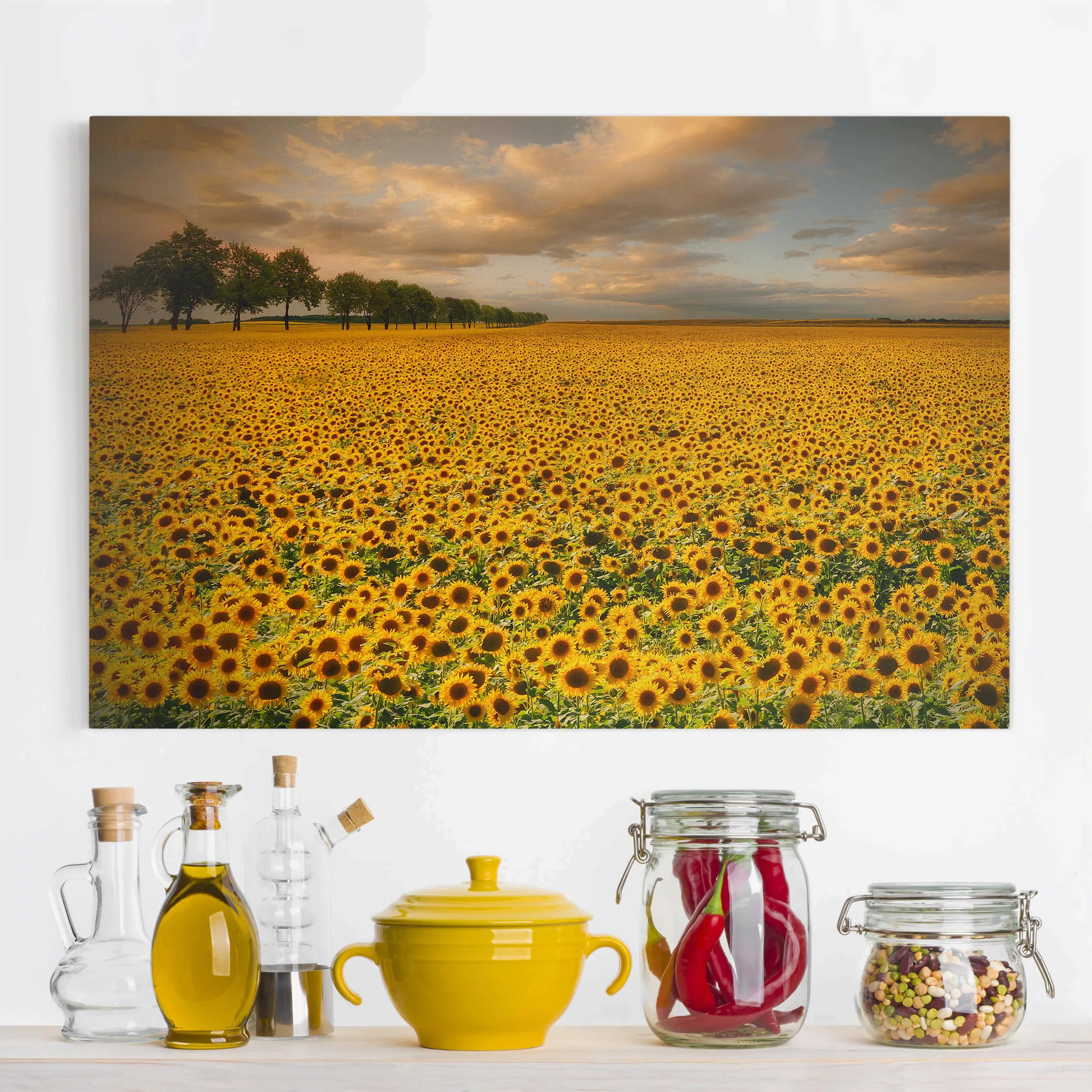 Leinwandbild Blumen - Querformat Feld mit Sonnenblumen günstig online kaufen