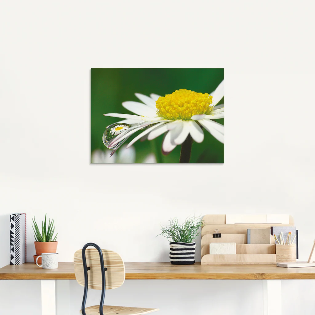 Artland Glasbild »Gänseblümchen mit Wassertropfen«, Blumen, (1 St.), in ver günstig online kaufen