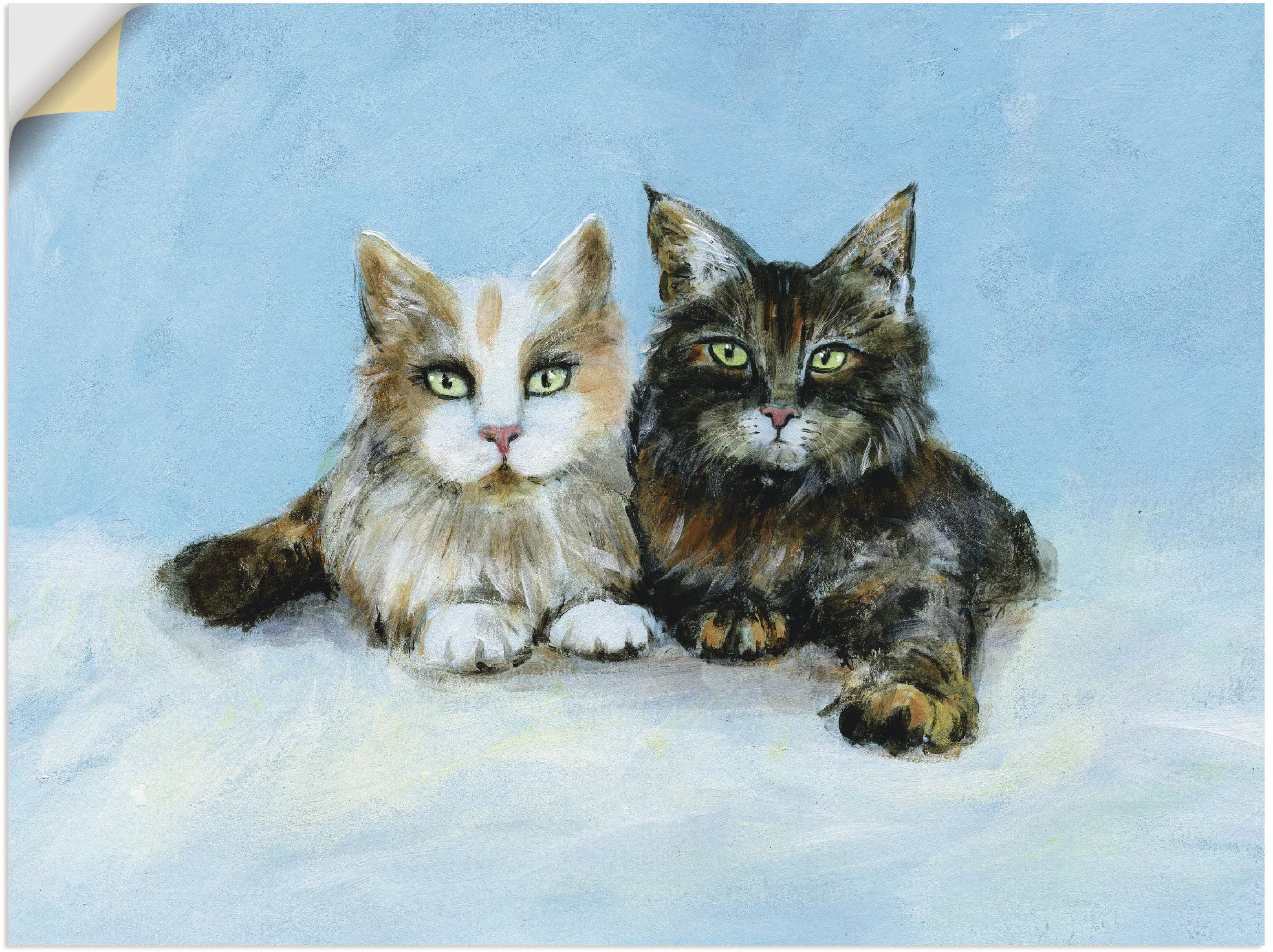 Artland Wandbild »Junge Maine-Coon Katzen«, Haustiere, (1 St.), als Wandauf günstig online kaufen