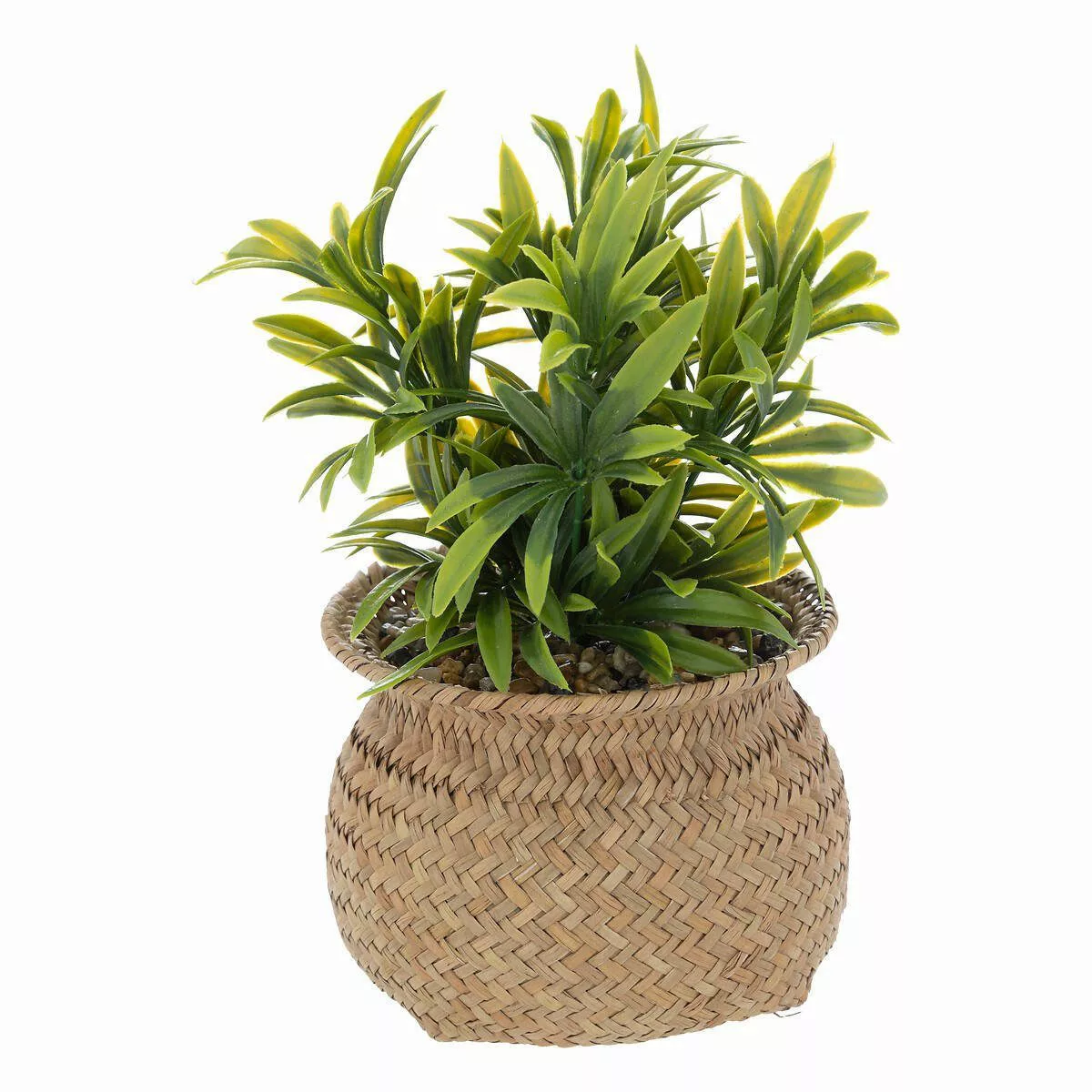 Kunstpflanze Zimmerpflanze, Atmosphera Créateur d'intérieur, Höhe günstig online kaufen