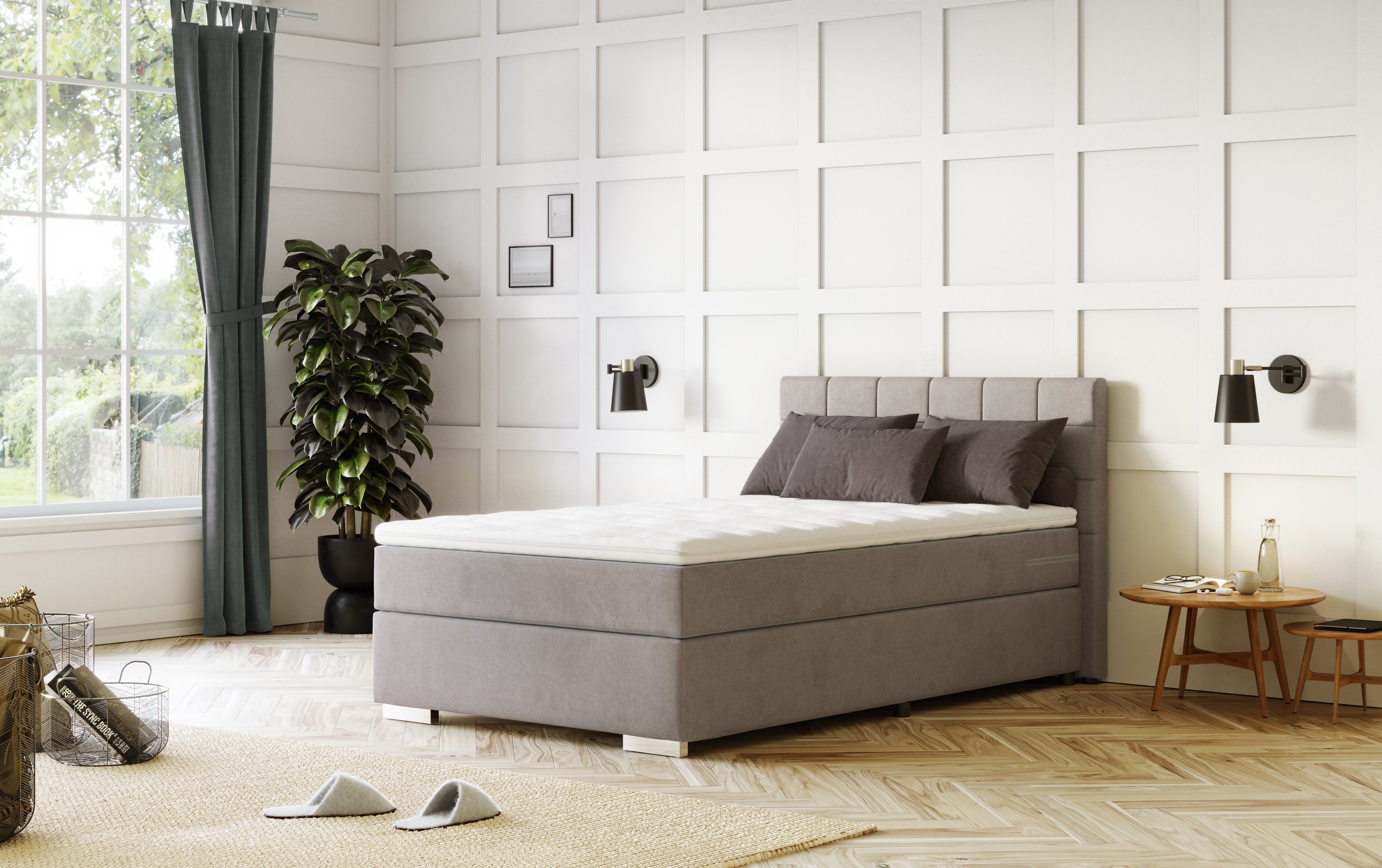 COTTA Boxspringbett Simba, Topseller! wahlweise mit günstig online kaufen