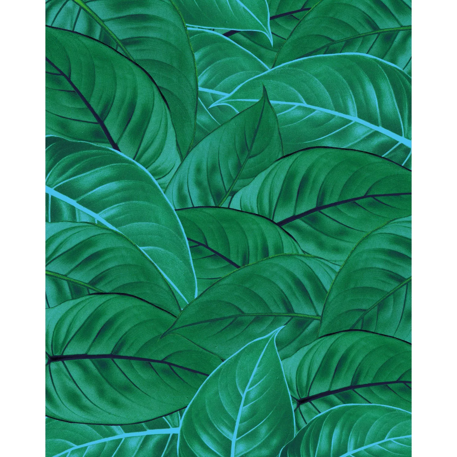 Komar Vliestapete »Jungle Leaves«, 200x250 cm (Breite x Höhe), Vliestapete, günstig online kaufen