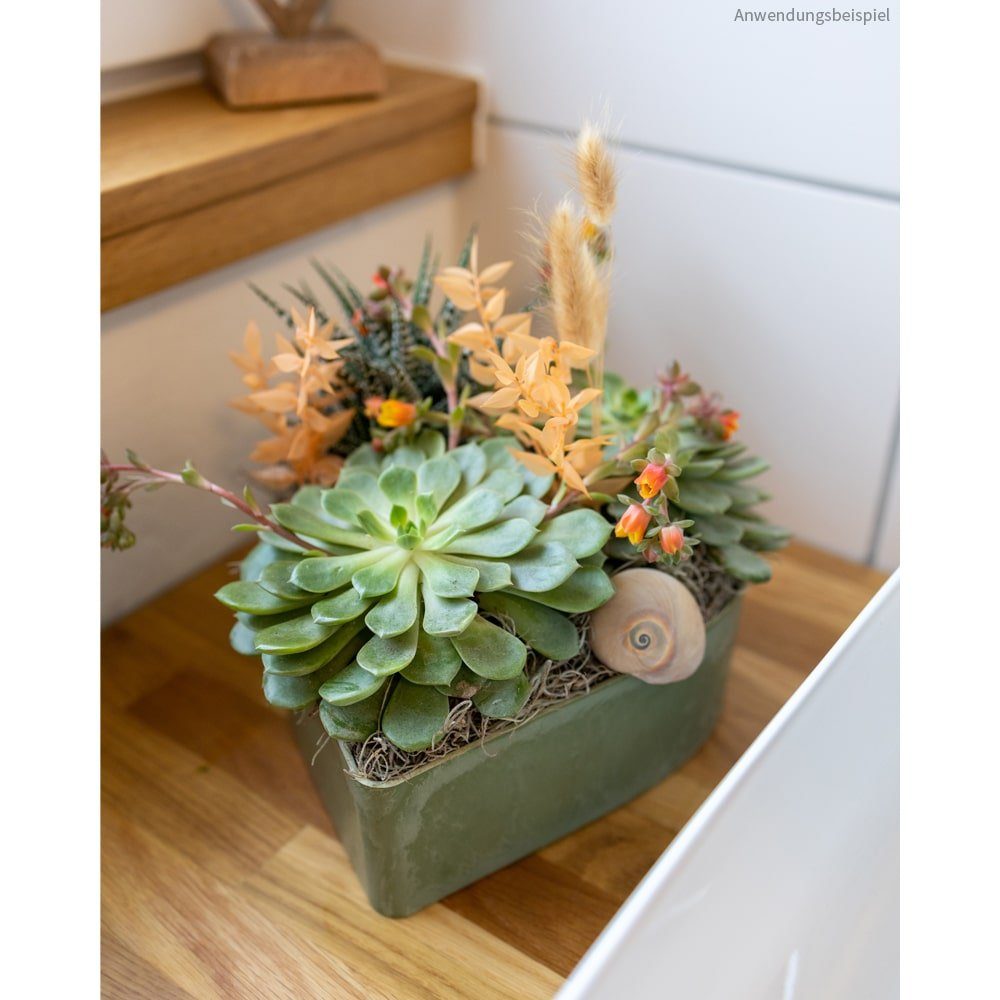 matches21 HOME & HOBBY Blumentopf Herz günstig online kaufen